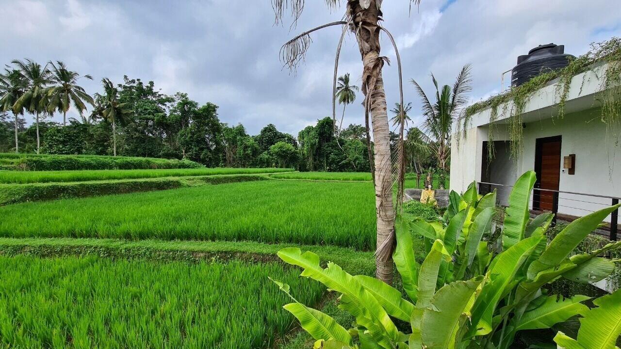 Hotel Ayurvedagram Bali Ubud Exterior foto