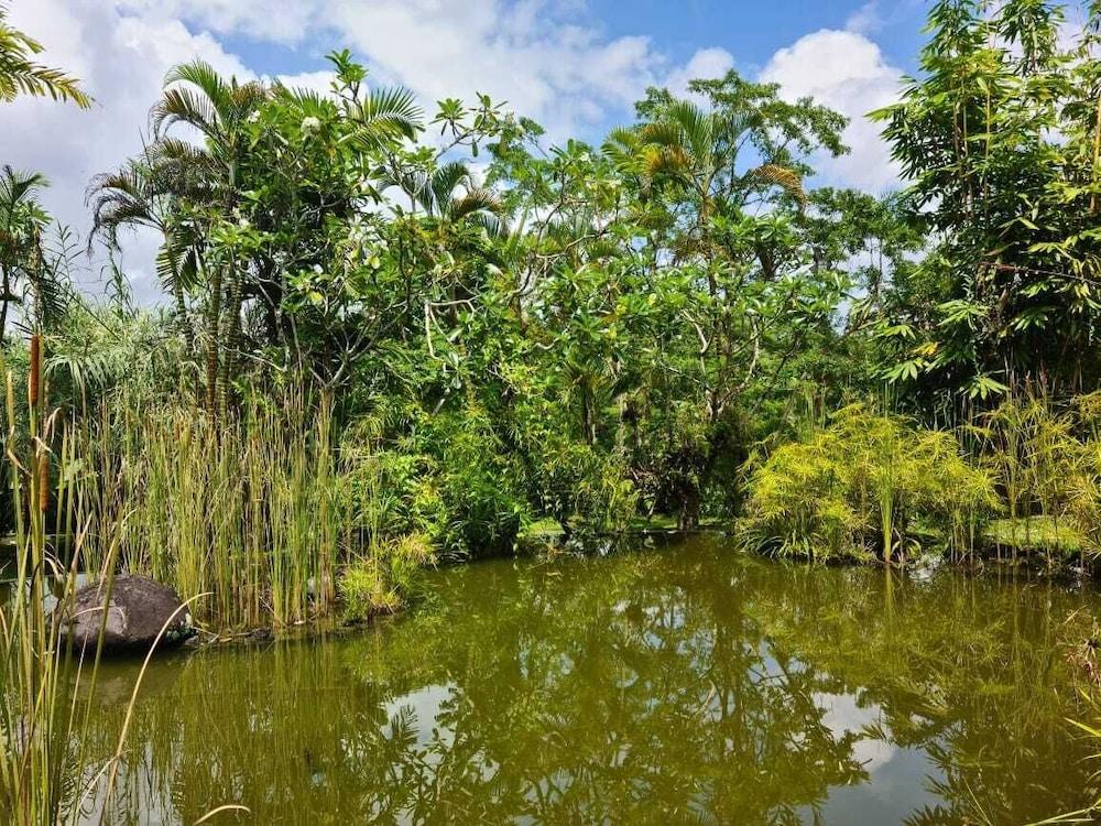 Hotel Ayurvedagram Bali Ubud Exterior foto